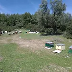 Papapoulios Apartmán
