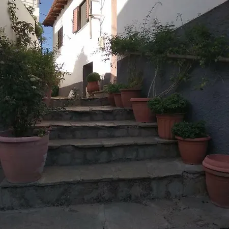 Papapoulios Sykia Chalkidikis